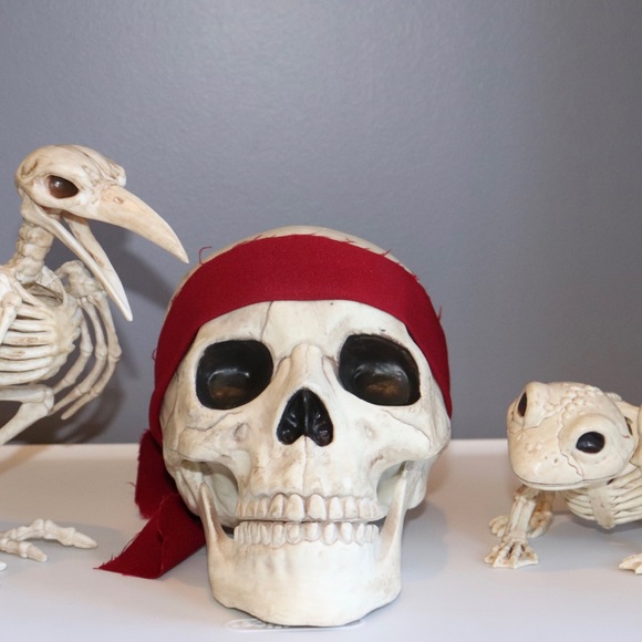 CRAZY BONEZ ANIMATED SKULL - Picture 3 of 4